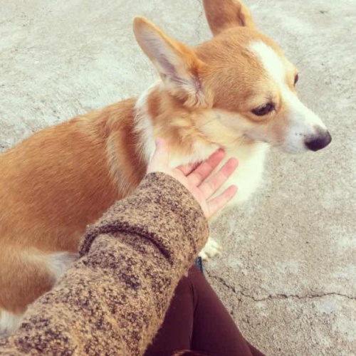 丝绸椅™_不超过1mm的组件间隙，定义精密的舒适与优美曲度_造作椅凳-造作官网