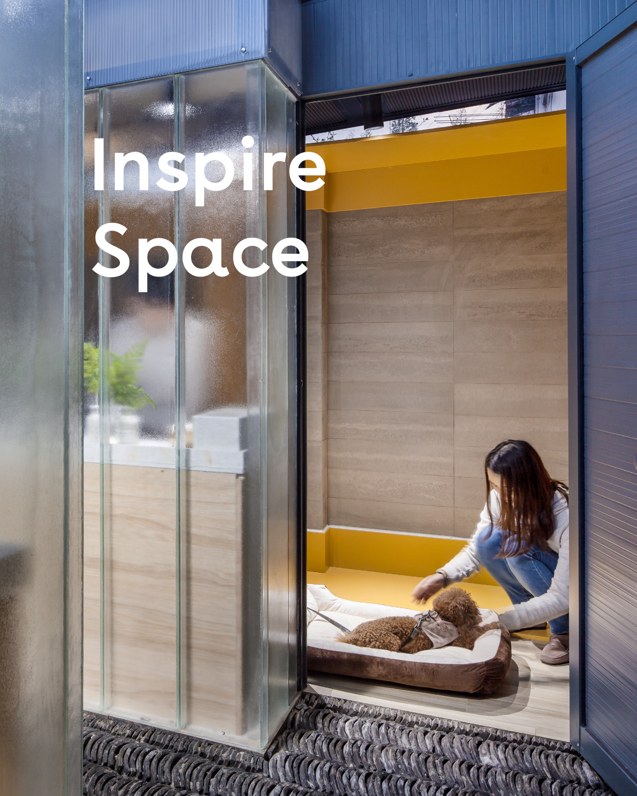 美好生活家x 造作 40只萌宠之家改造成 马赛公寓 造作新家官网